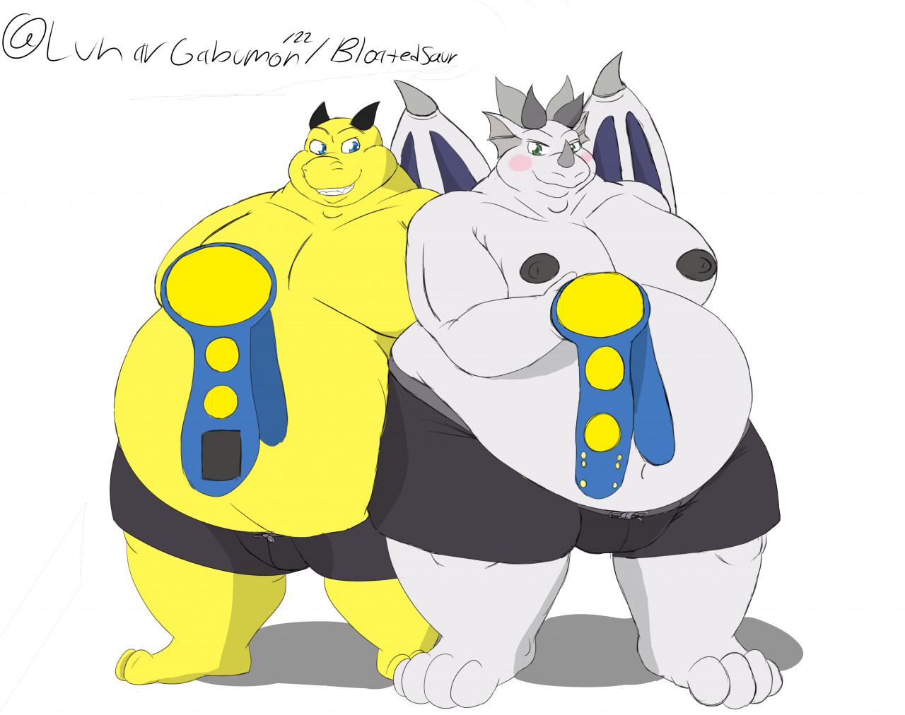 Sumo Duo