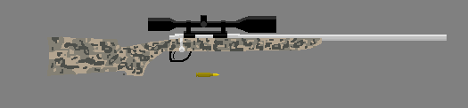 Rifle With Camo Stock