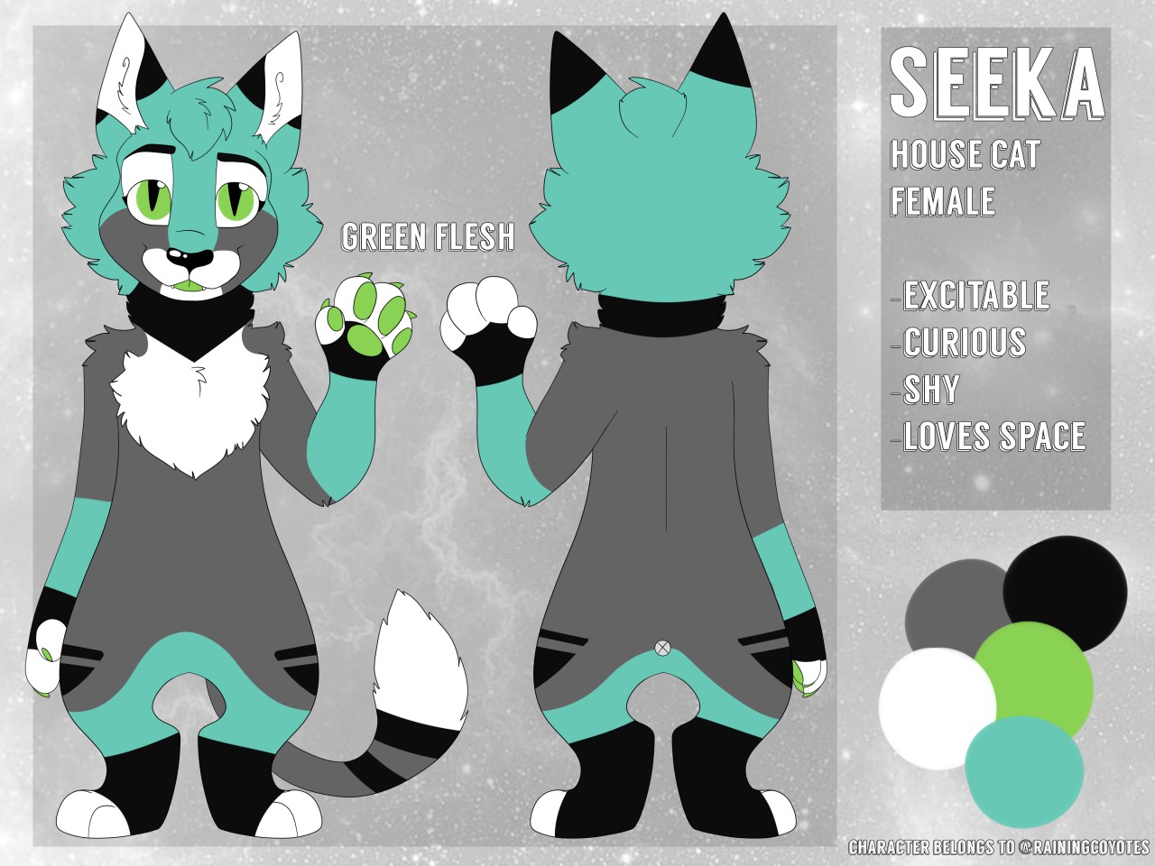 Seeka Reference sheet