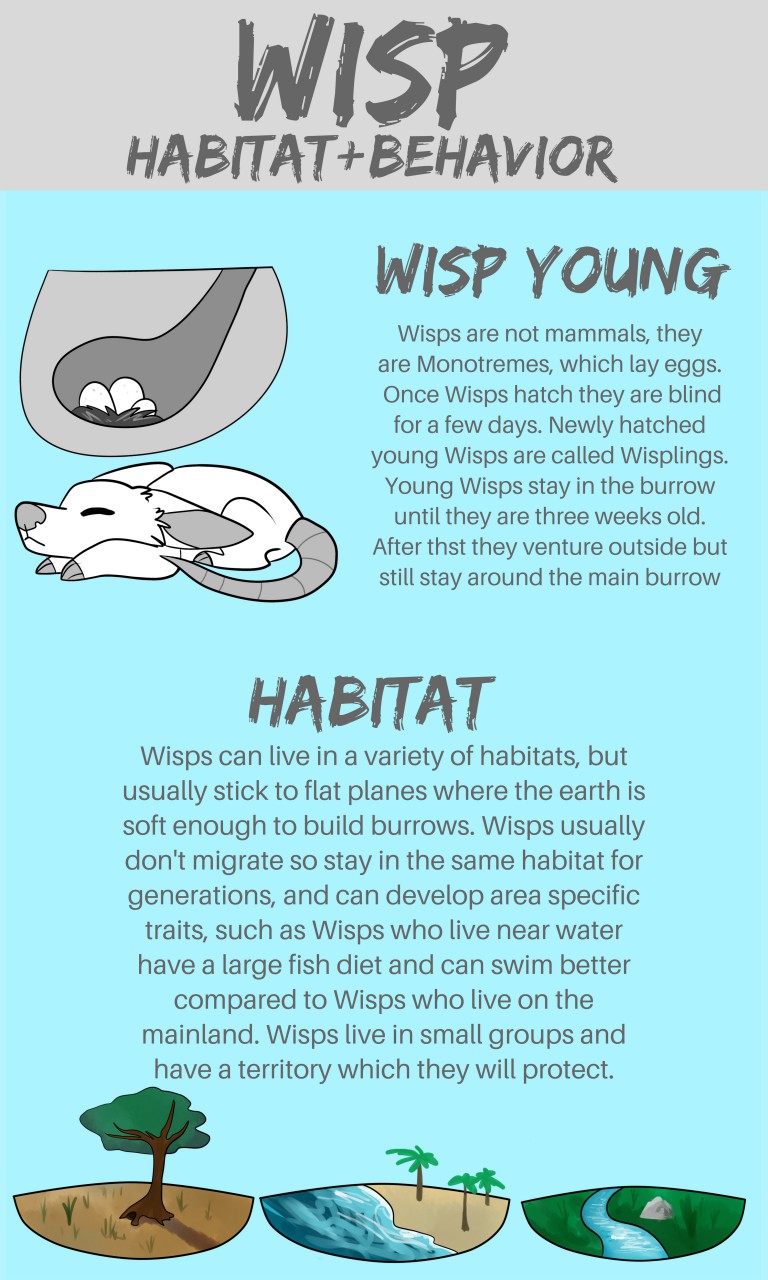 Wisp info sheet 2