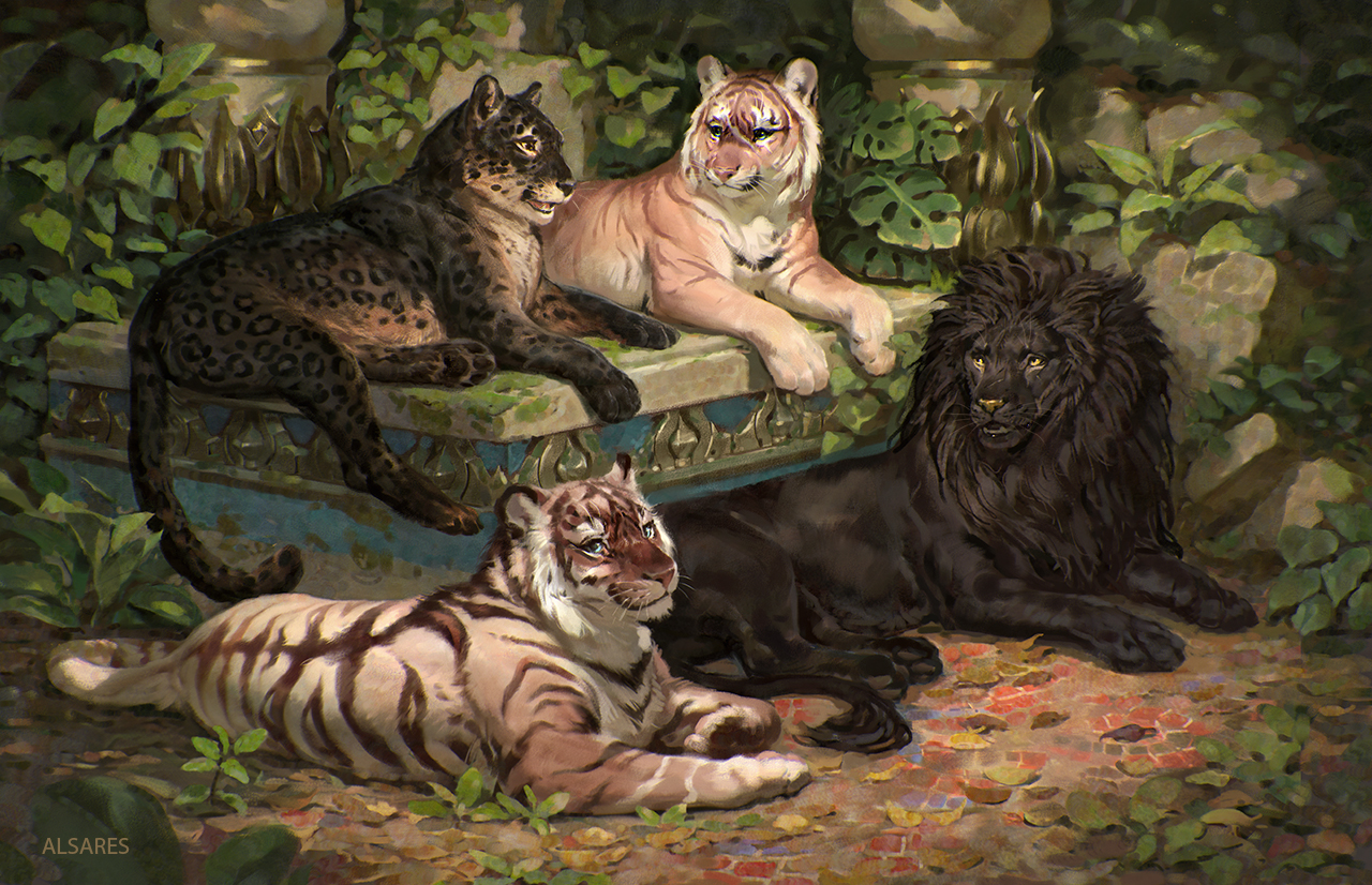 Click to change the View Cat kingdom