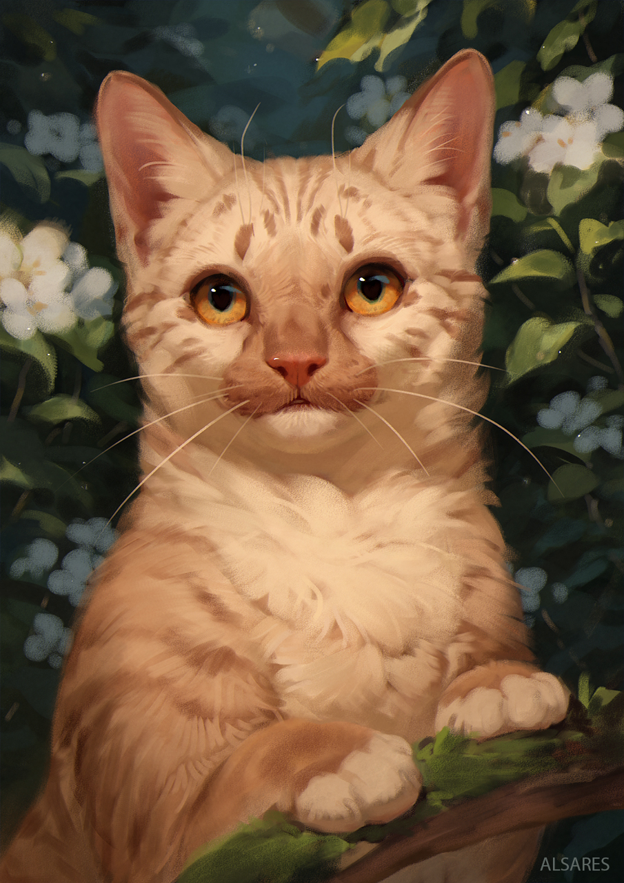 Click to change the View Curious kitty
