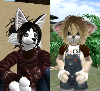 my avatar.　Husky and Cat.