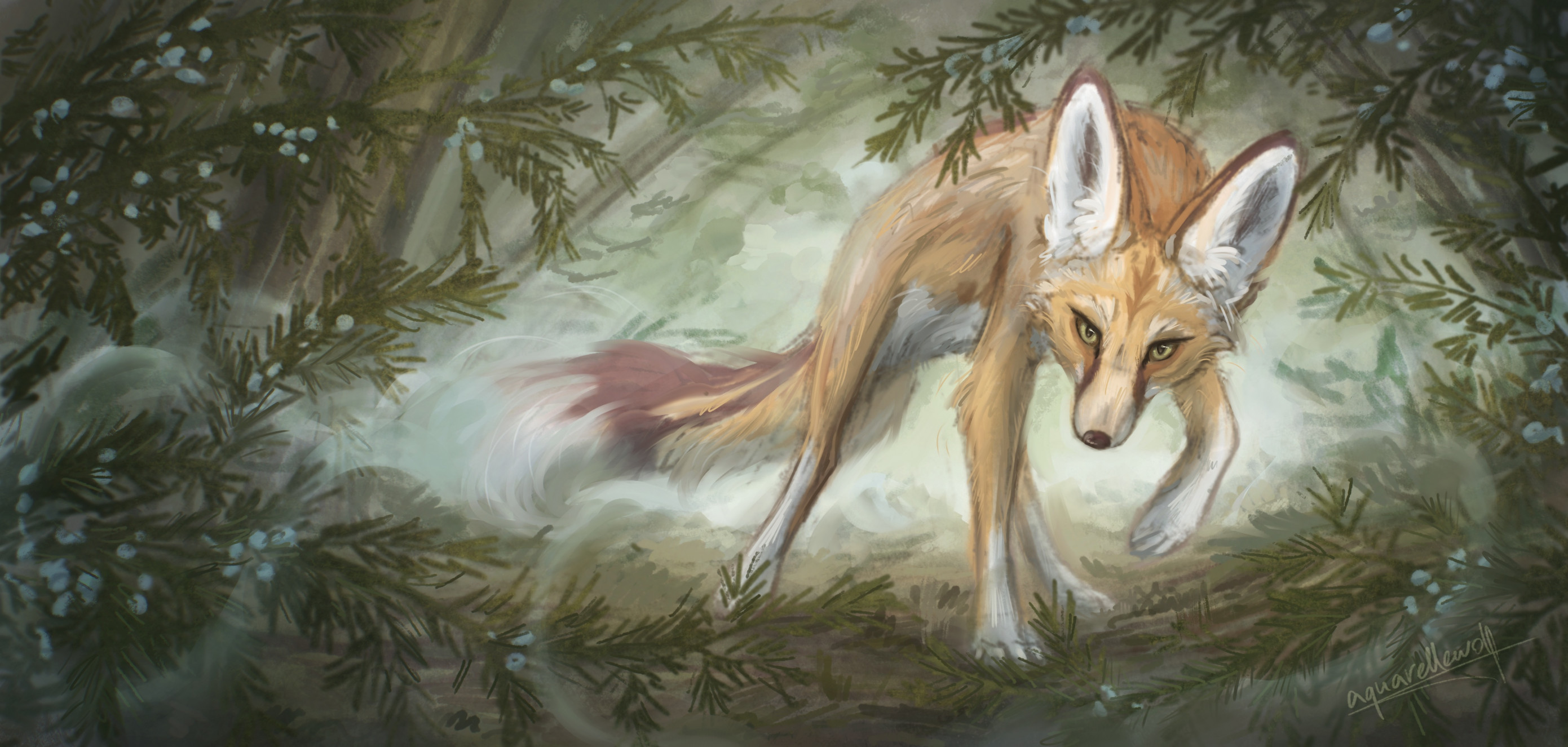 🌿 Misty Fox 🌿