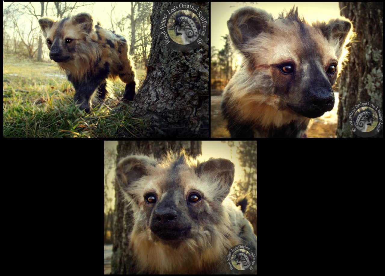 Click to change the View 1.5/5 -pre made Hyena by Woodsplitterlee