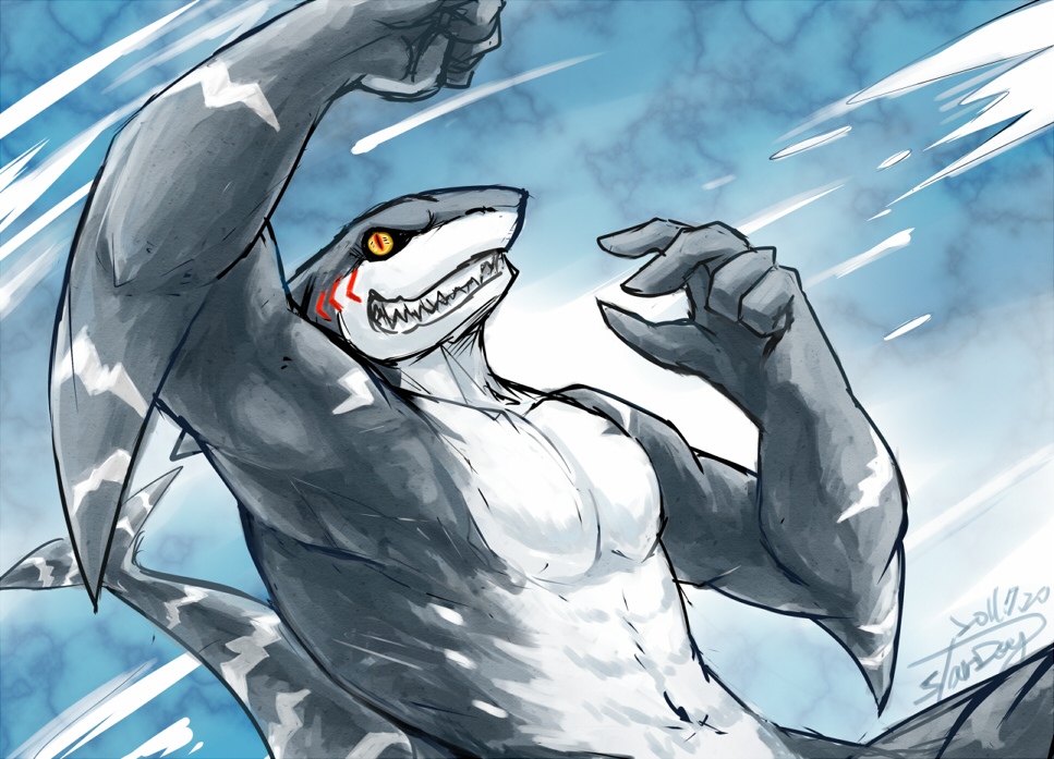 Sexy Anthro Shark