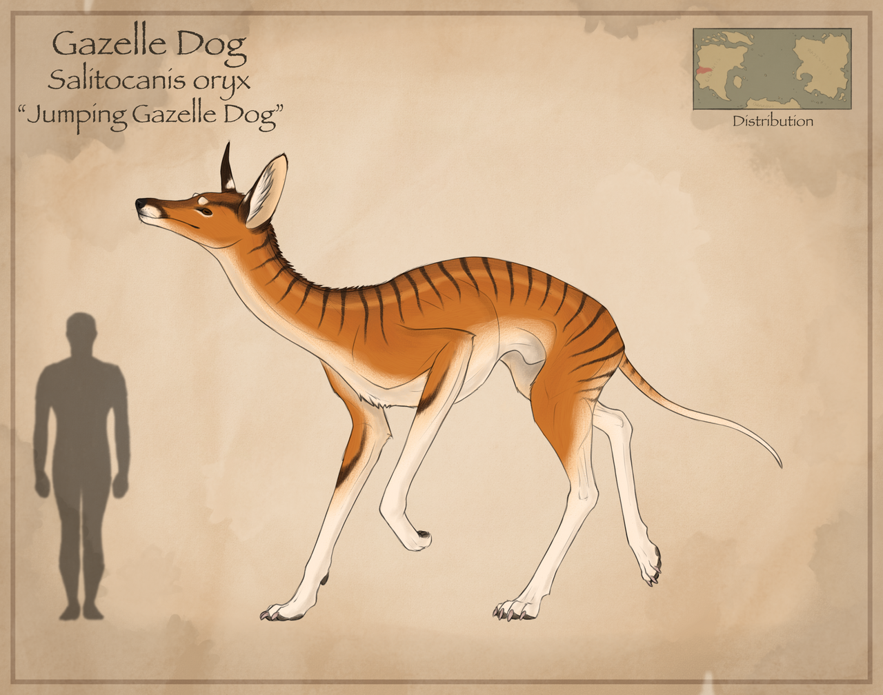 Gazelle Dog