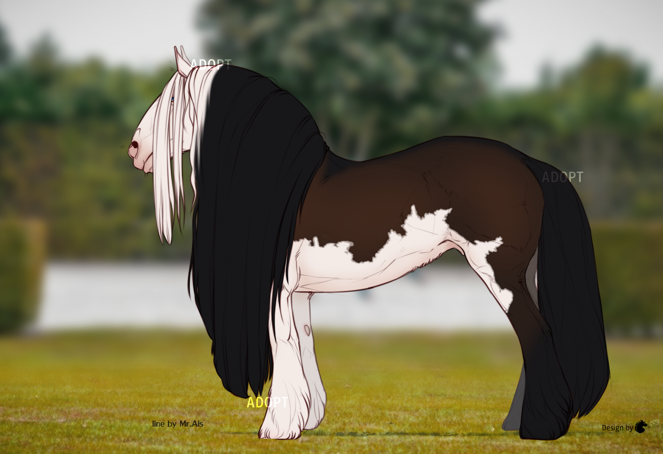 Gypsy Cob Adopt (Open!)