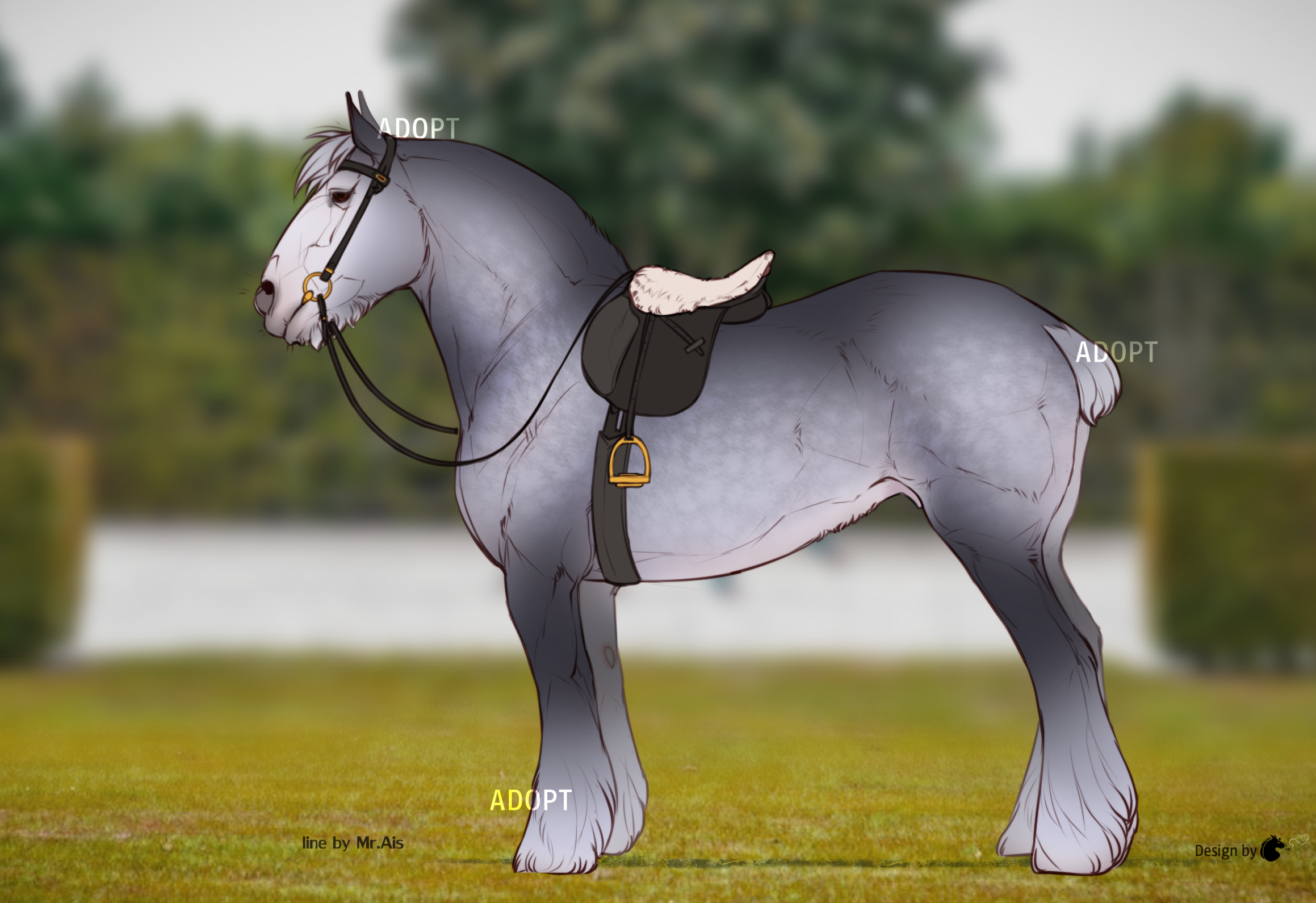 Gypsy Cob Adopt (Open!)