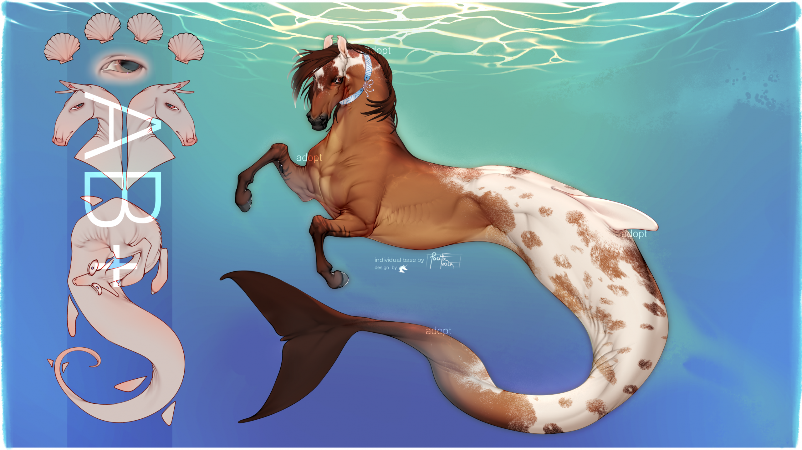 Hippocampus Adopt Auction (Open!)