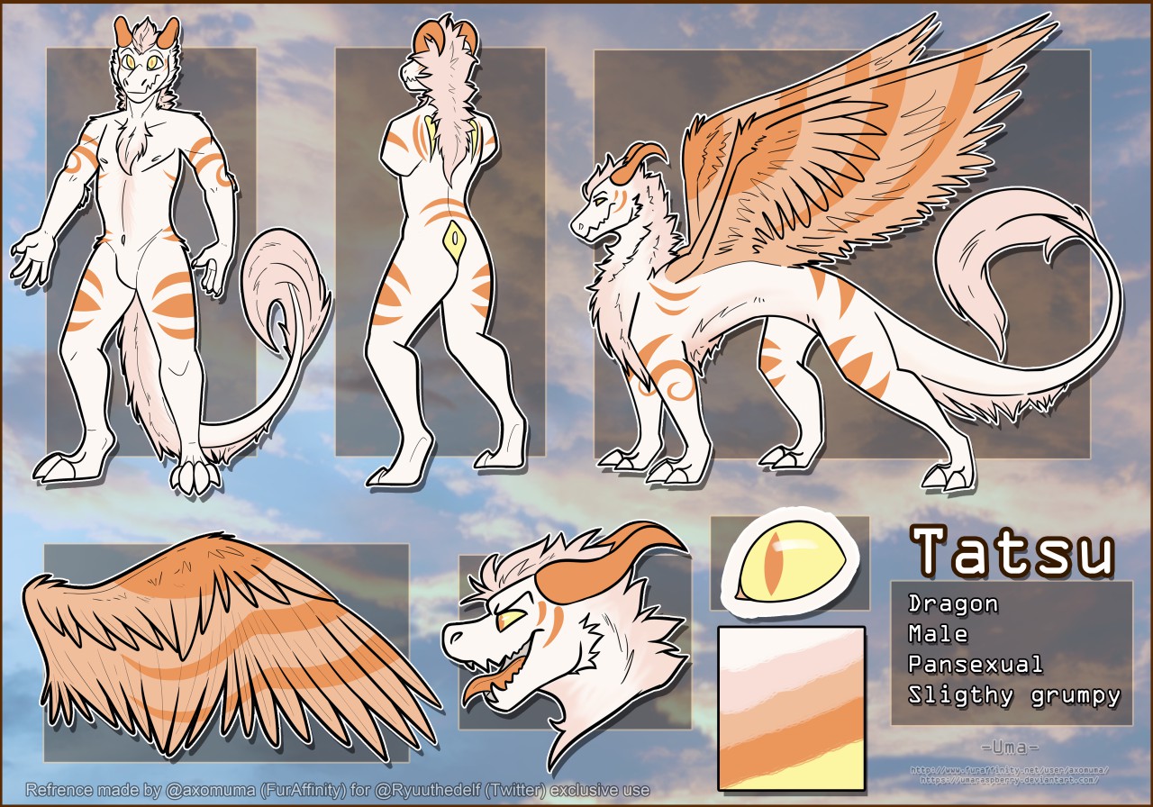 [C]- Tatsu ref sheet