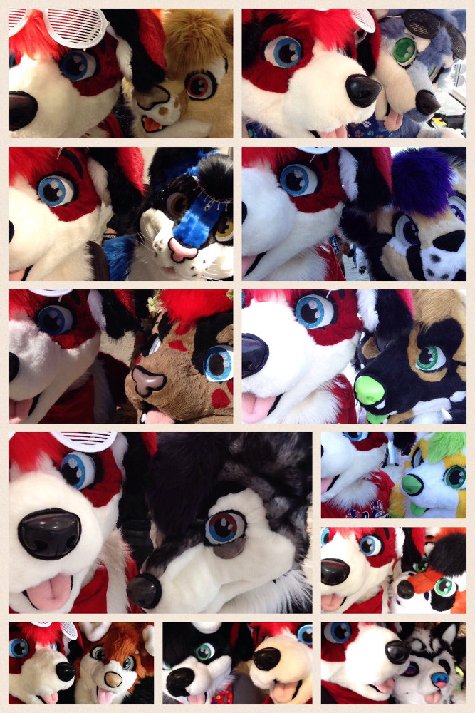 FurDU 2016 Selfies!