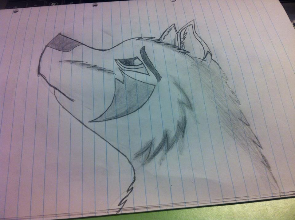 Wolf Head Drawing #2