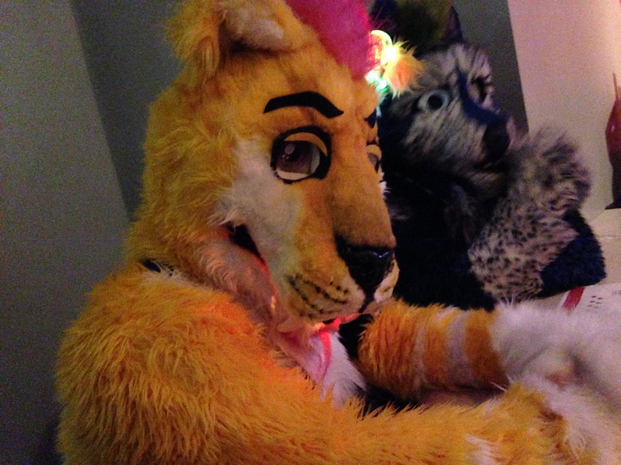 Click to change the View Cheers Faggletooth