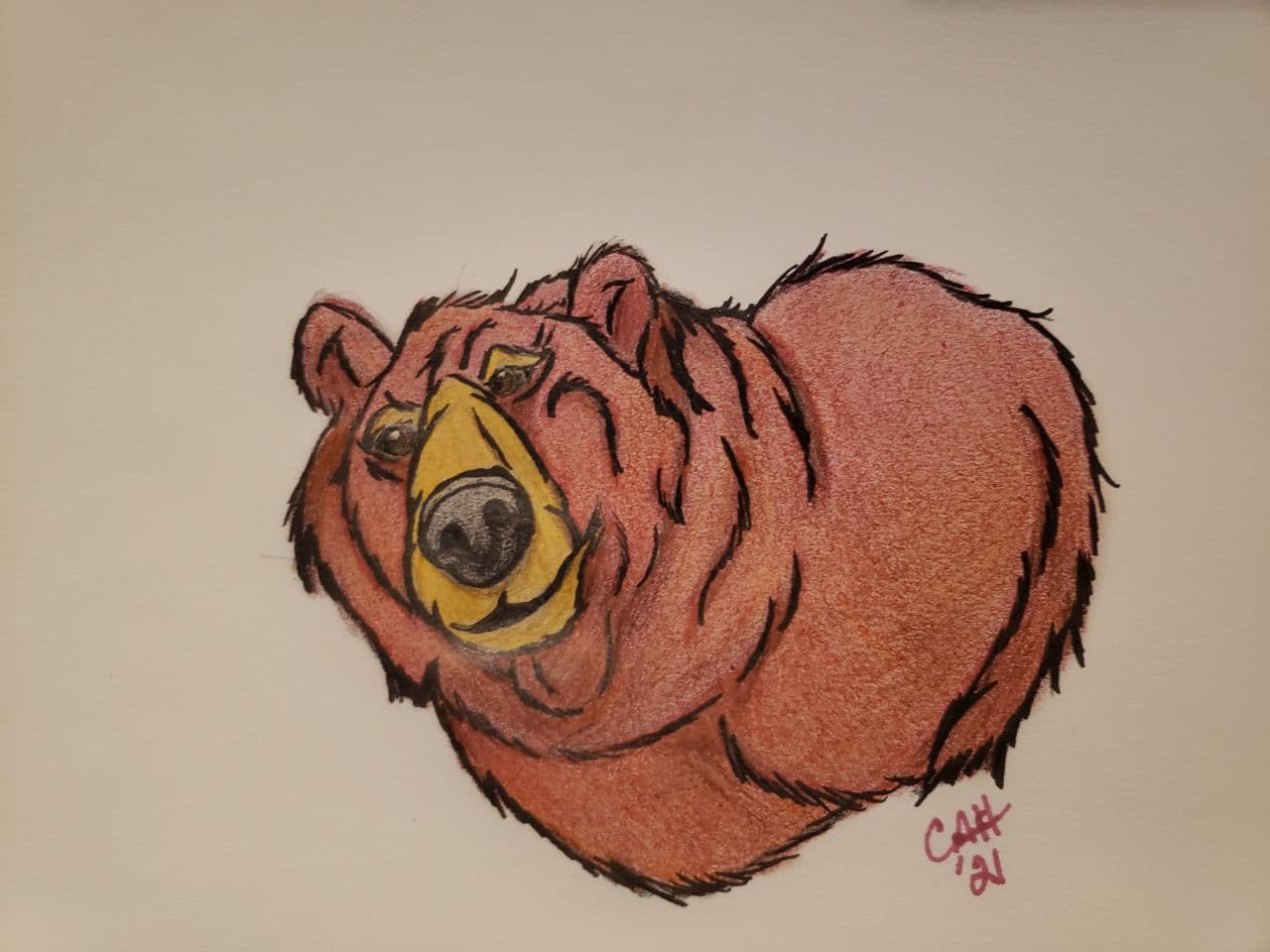 Bear