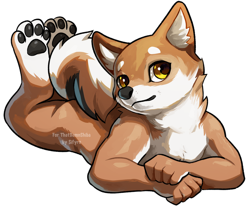 Click to change the View Wow such paws, so cute, stare.