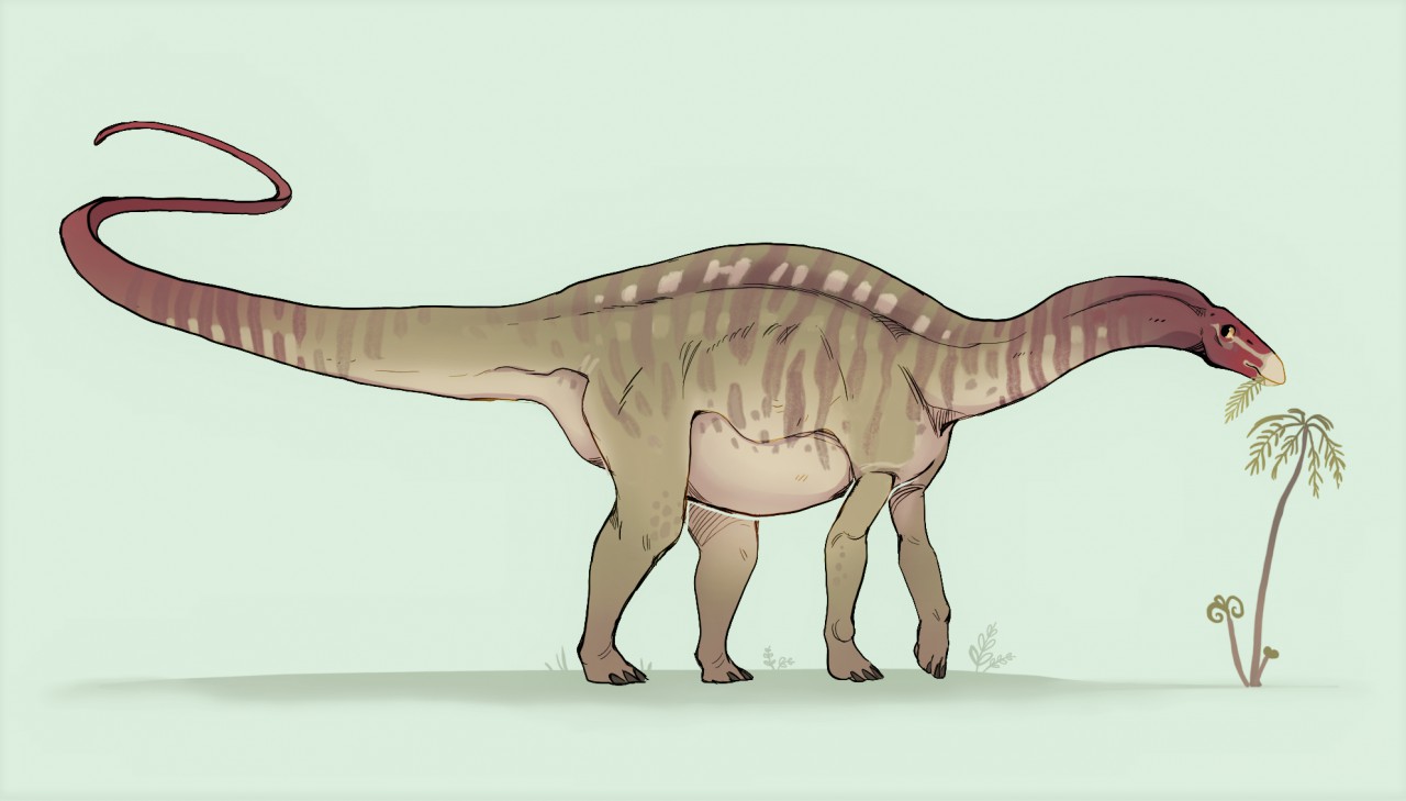 Dicraeosaurus