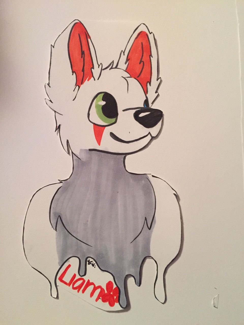 Click to change the View COMM Liam Badge