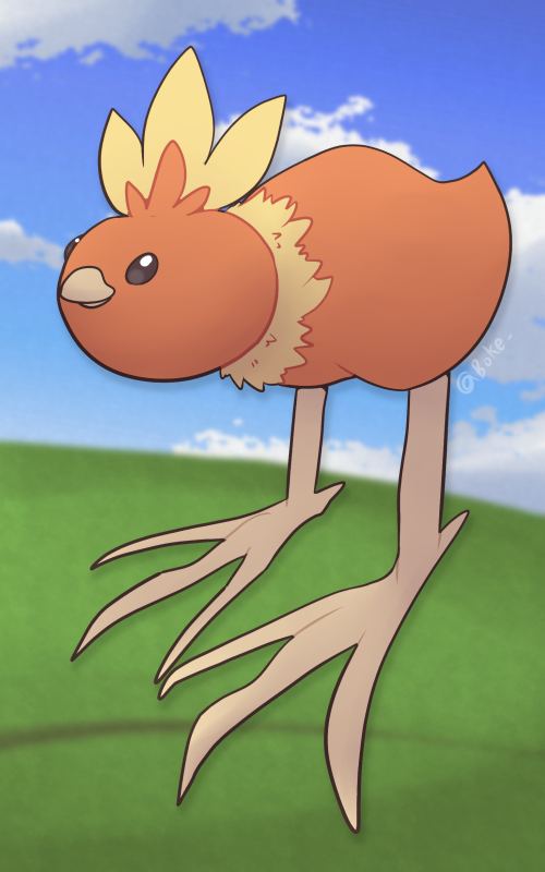 torchic