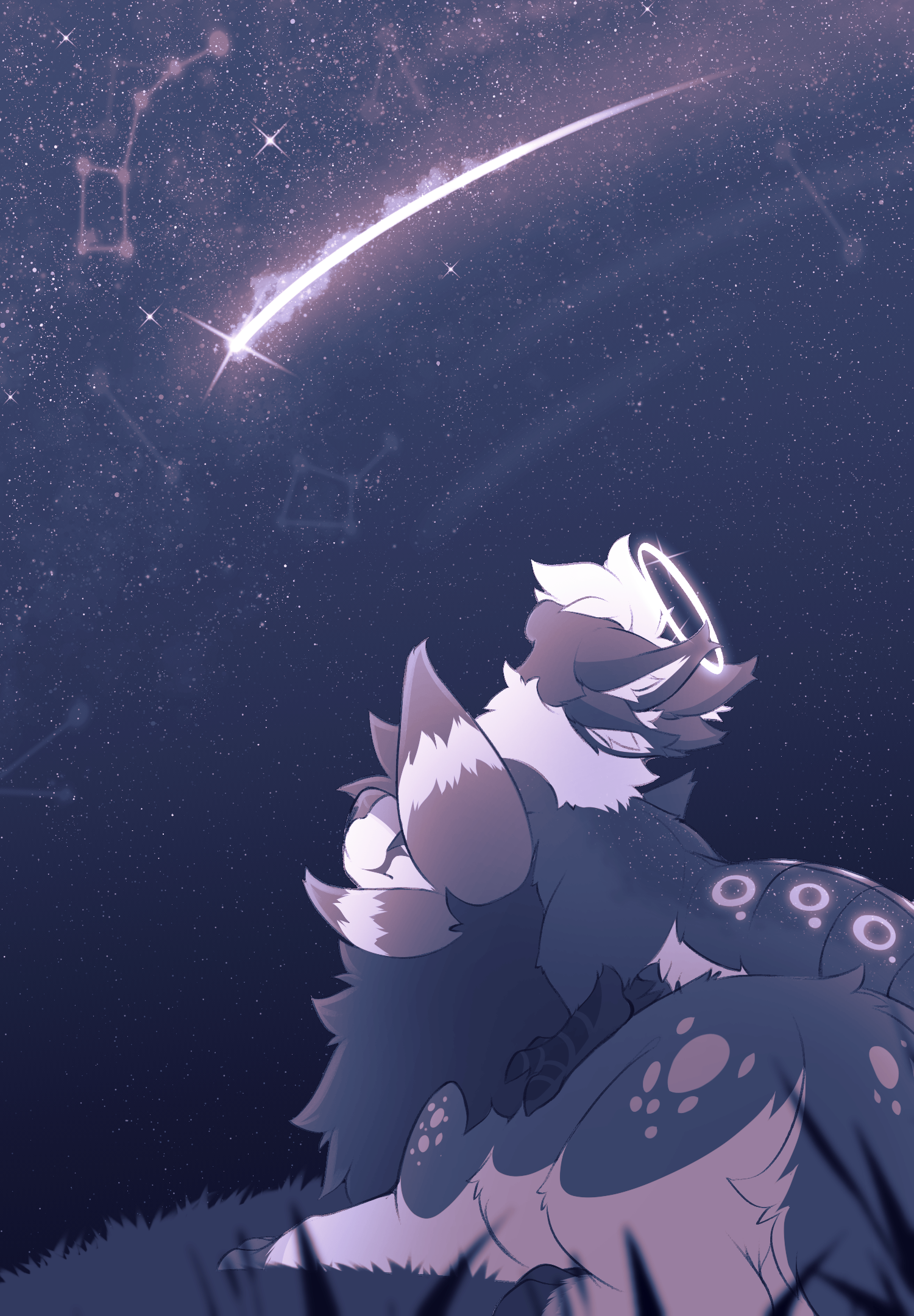 Look up to the stars~