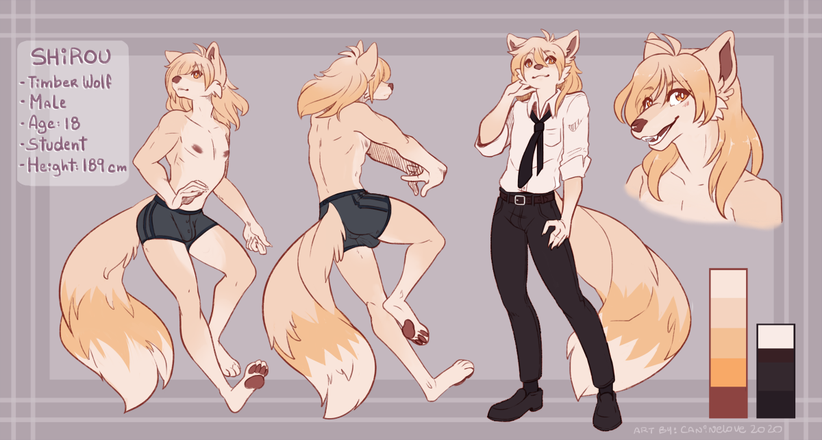 Shirou Ref Sheet - commission-