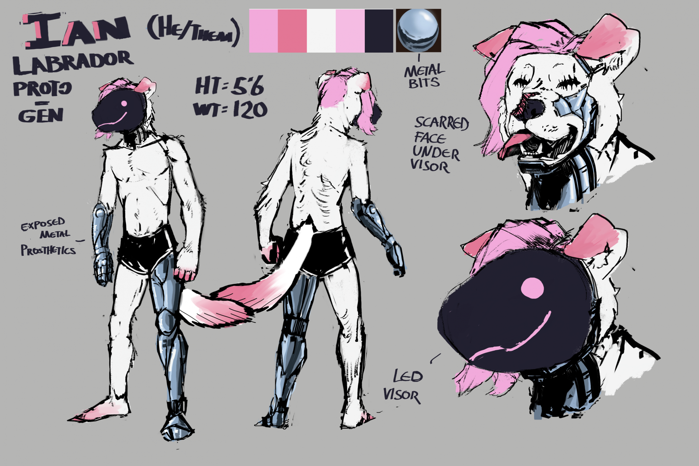 Lab-Gen Ref Sheet