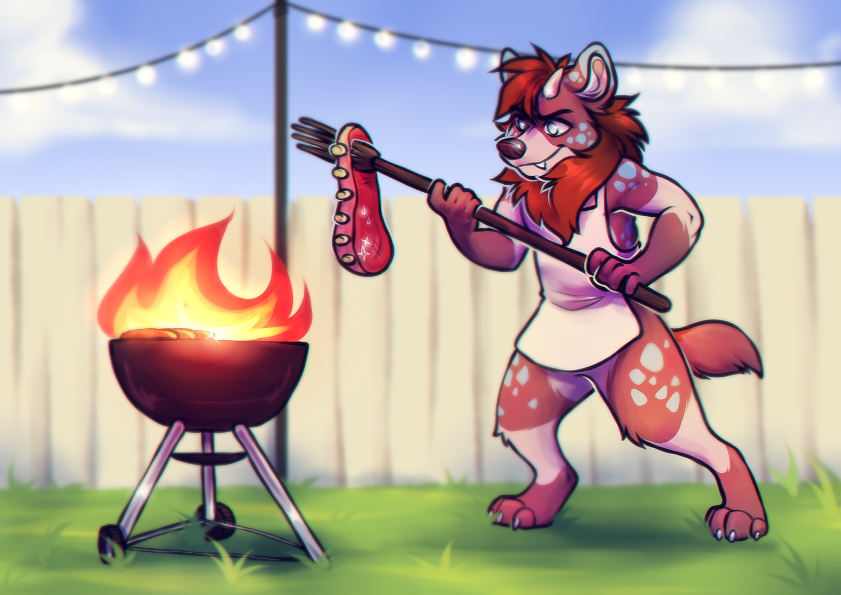 Braai By RedSunAtDawn