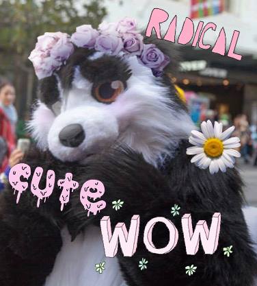 Wow! Such skunk!