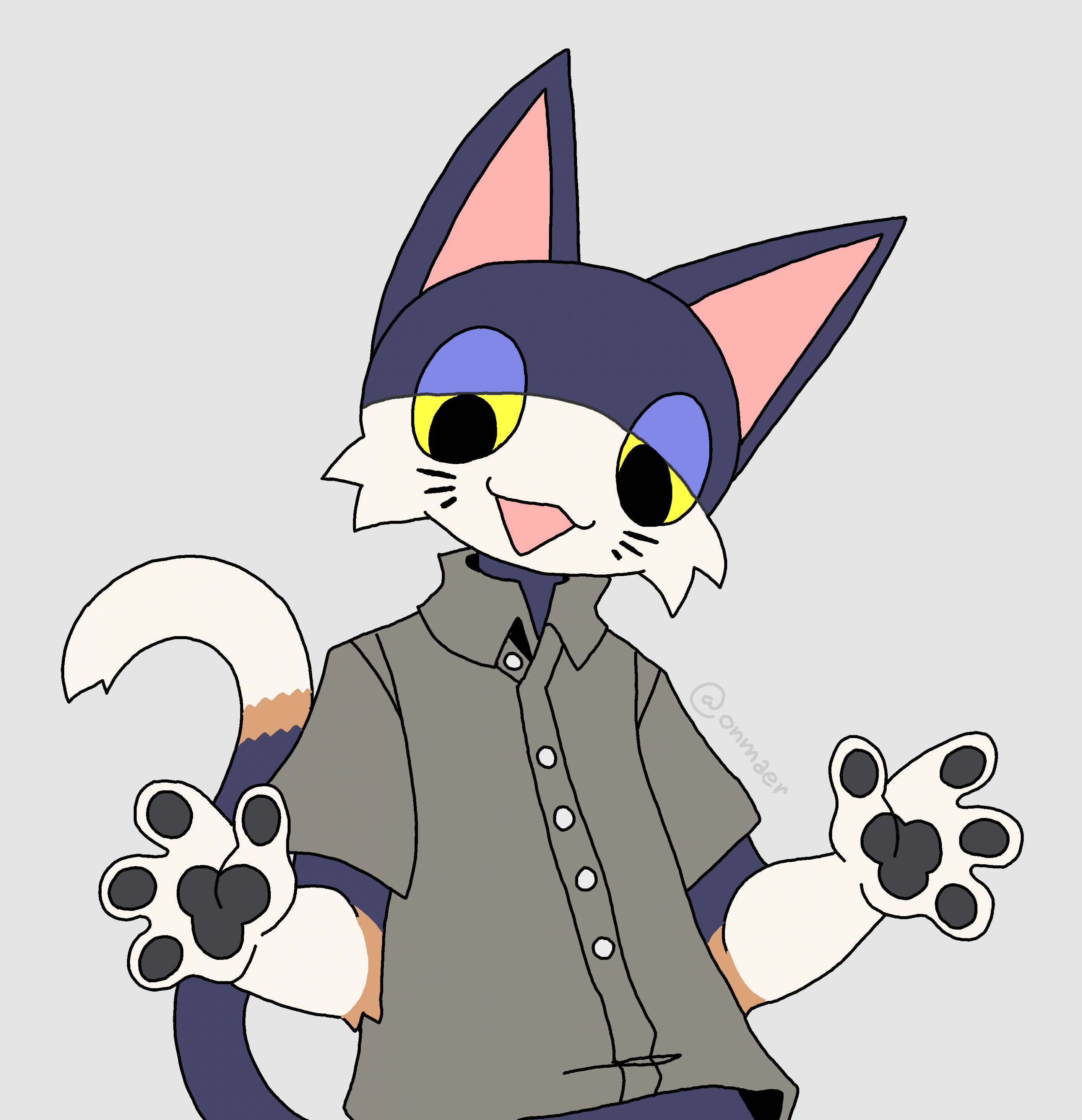 punchy paws