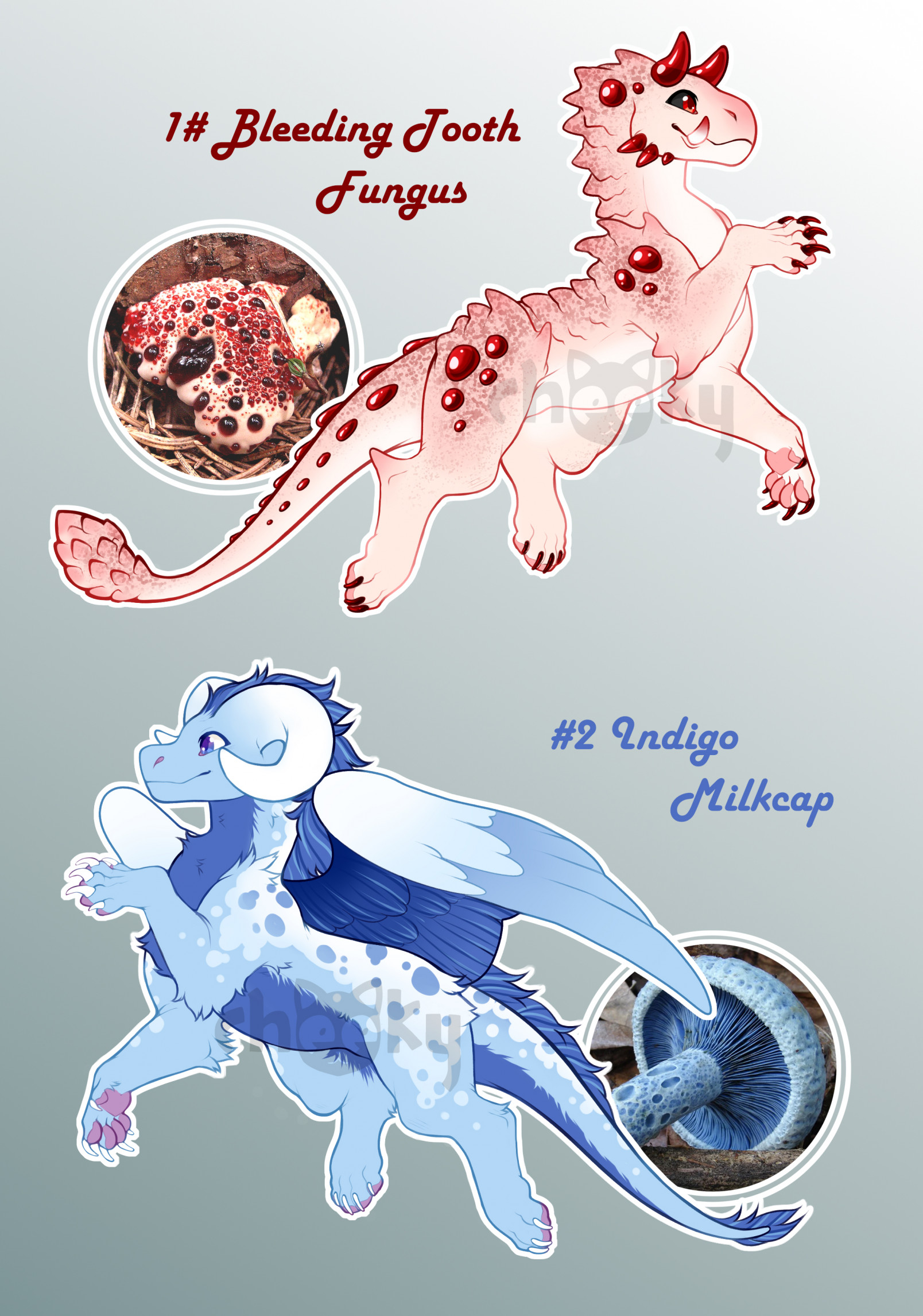 Dragon Adopts #1 - (1/2 OPEN)