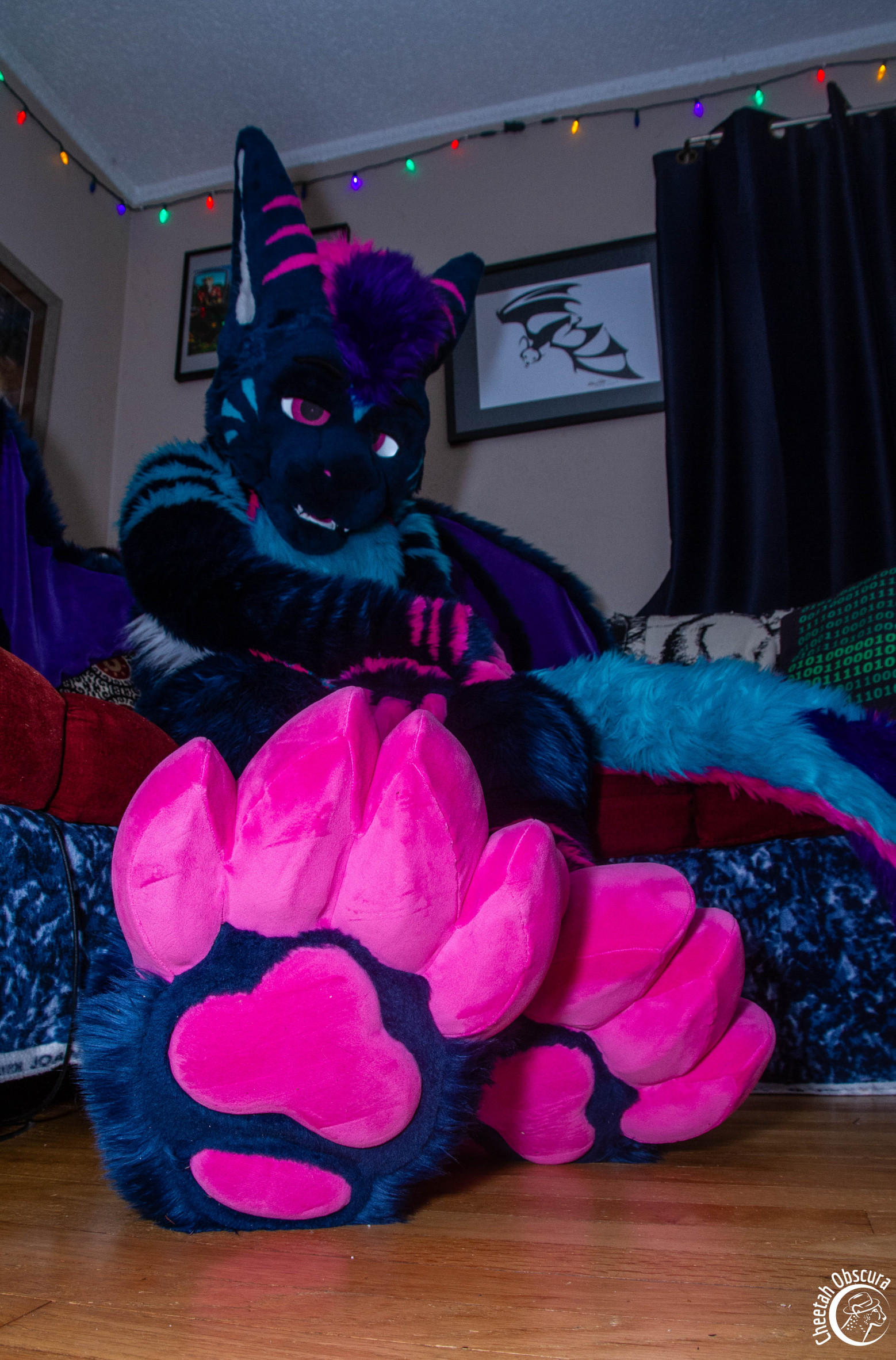 Derg paws