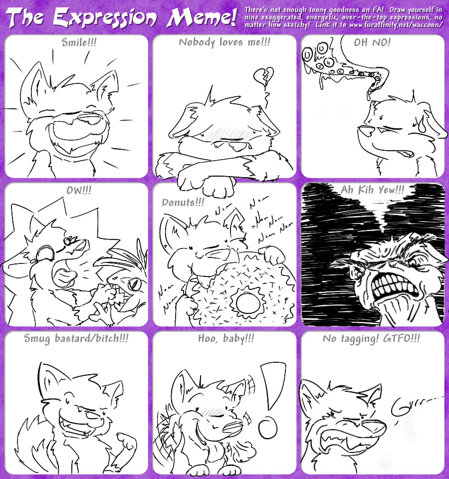 Expression Meme x3