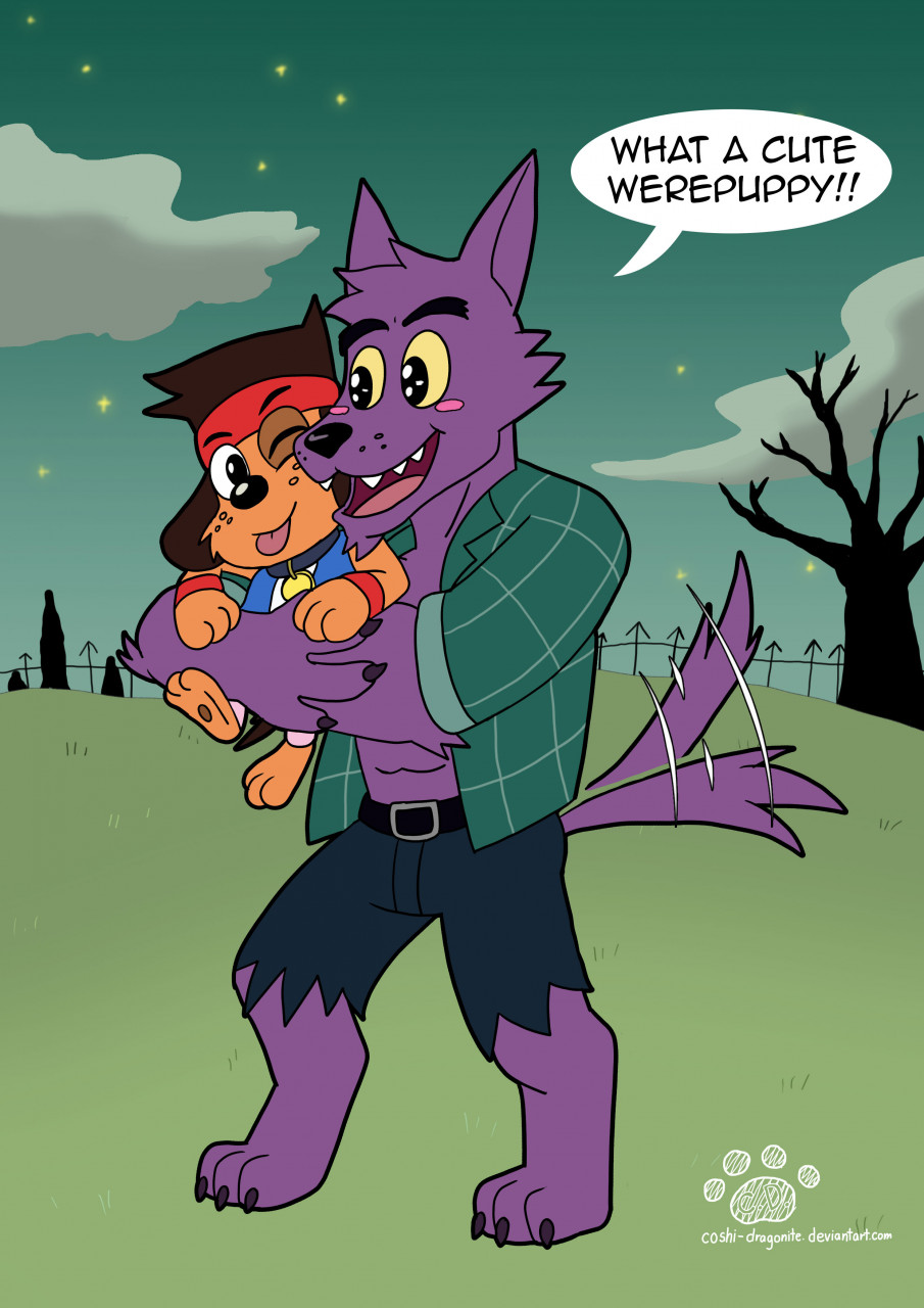 Click to change the View Bernard meets KO Puppy
