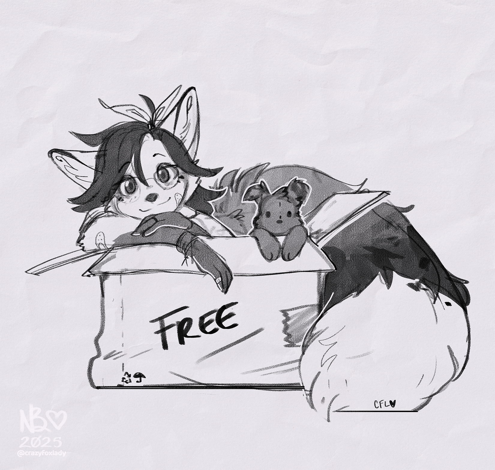 Free fox in a box