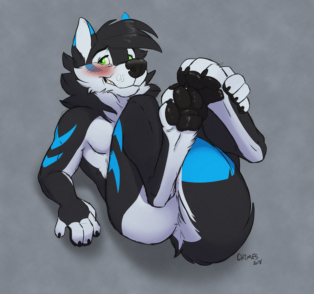 Click to change the View Did Someone Say Paws?