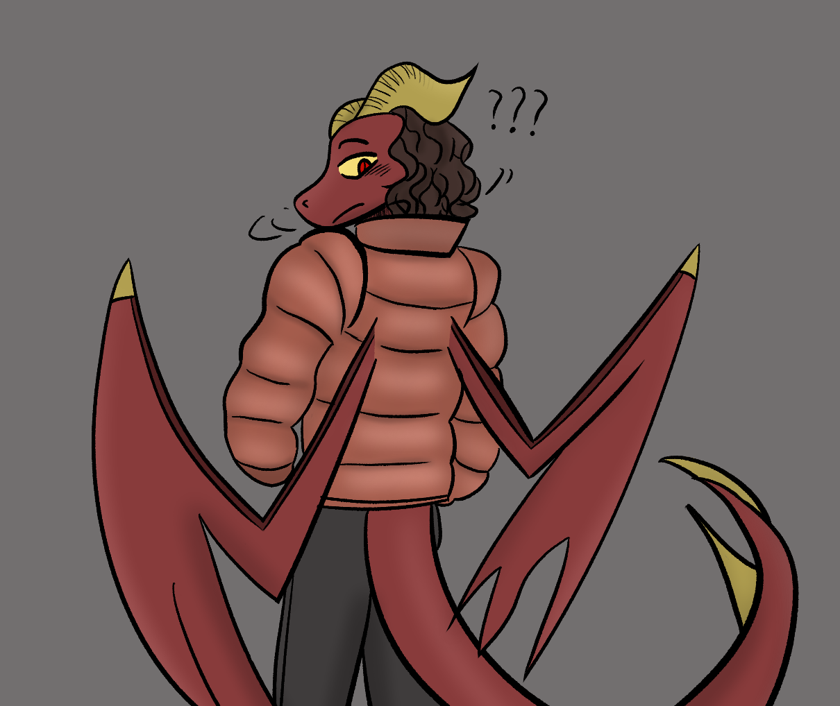 Jacket on a dragon