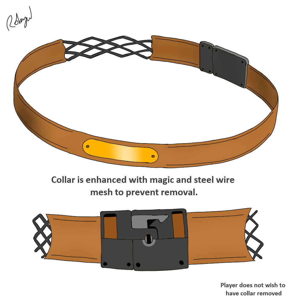 Nikicon's Slave Collar