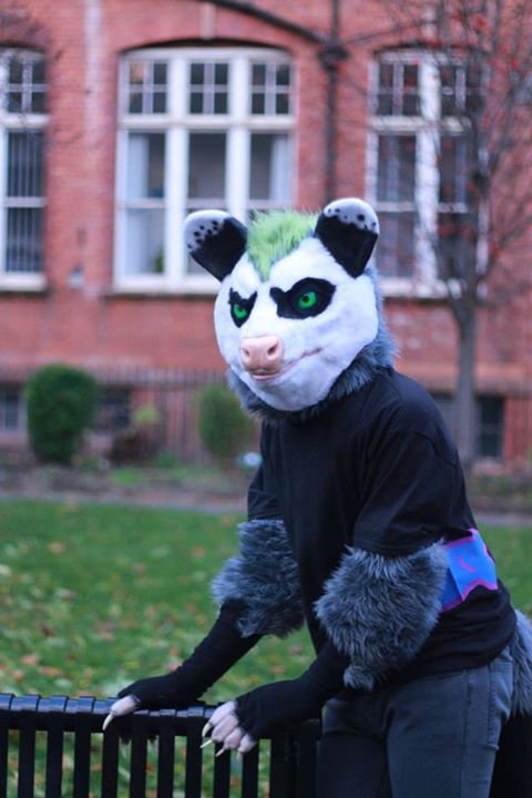 Click to change the View Possum in the Park