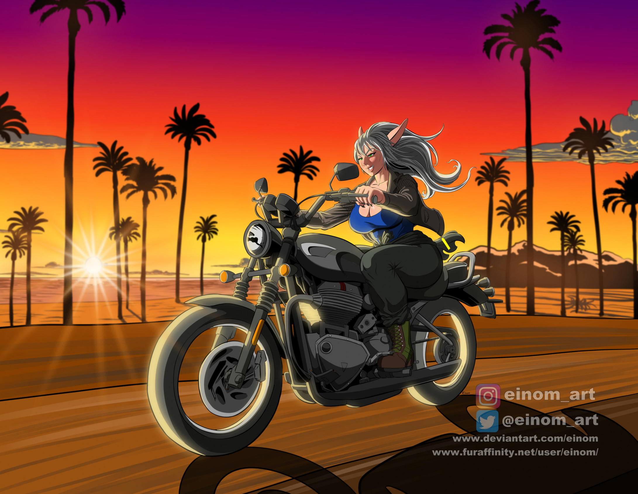 Commission Tasina Sunset ride