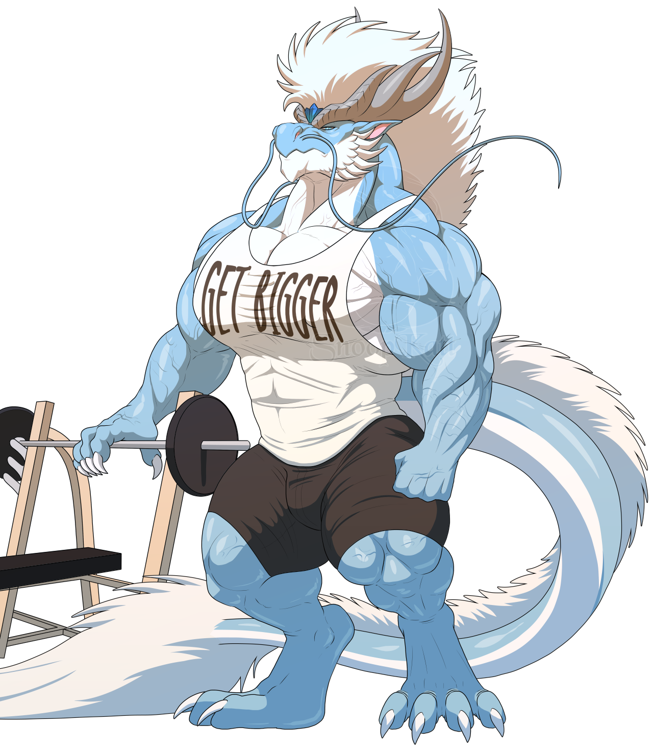 Your Dragonman Personal Trainer