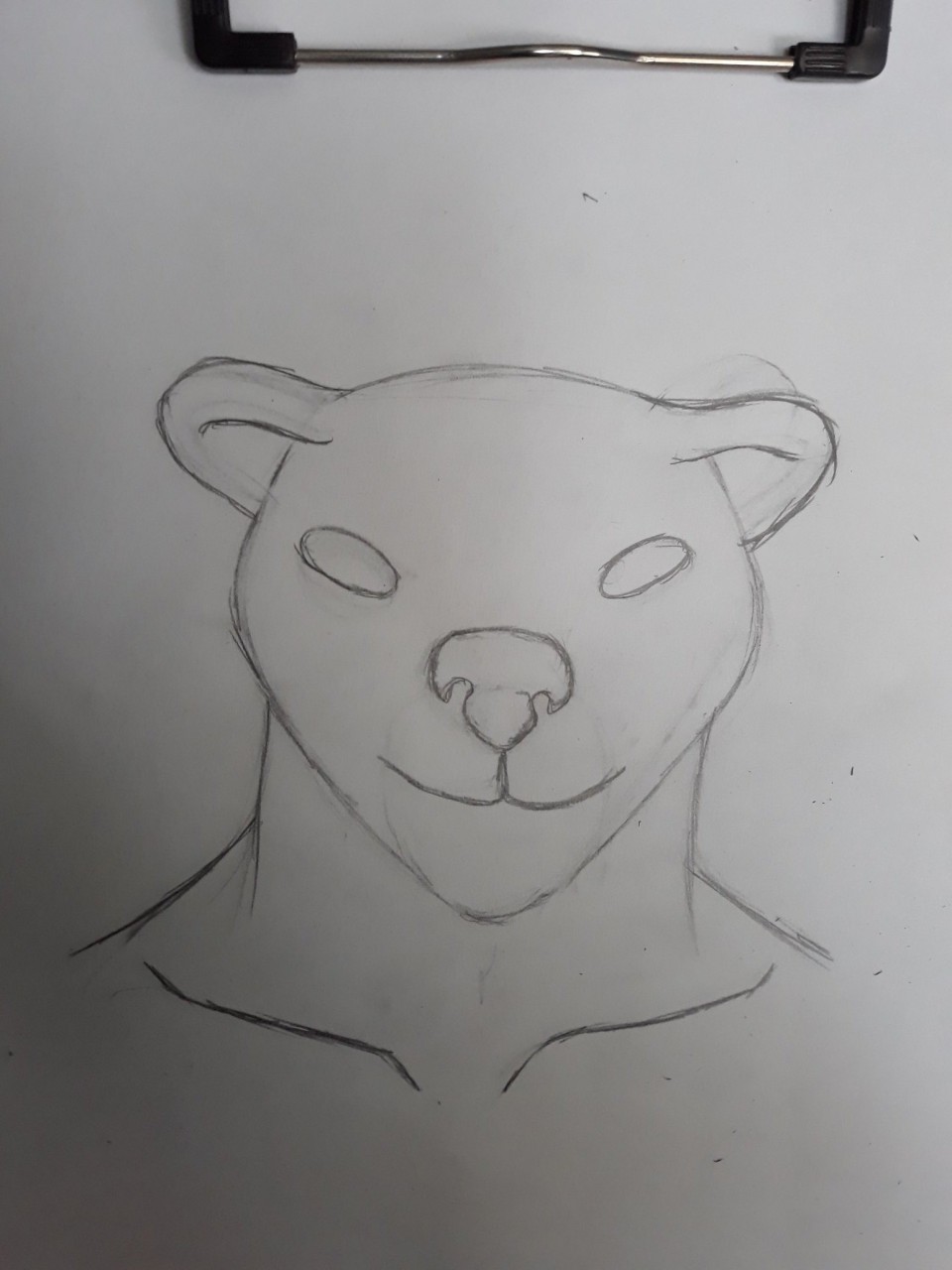 Bear Face Attempt(sketch)