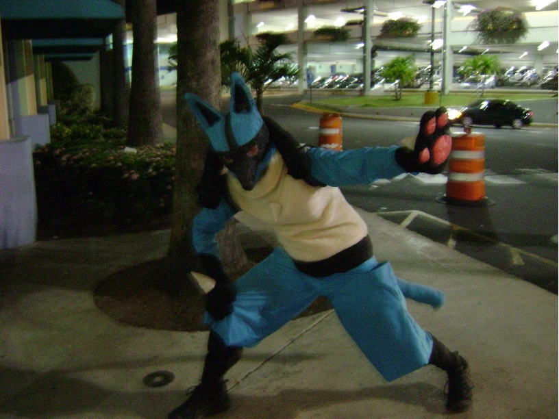 1257042342.elfuricua_lucario_boricua_fursuit_05.jpg