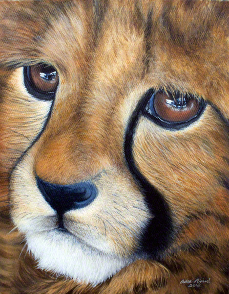 Cheetah Cub in Acrylic