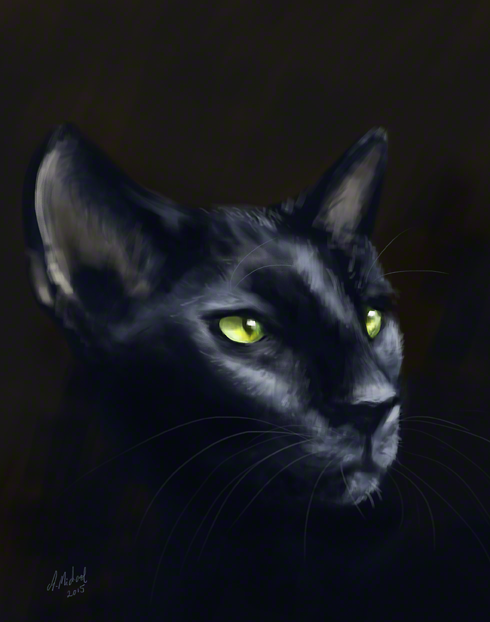 Black Cat - Speedpaint