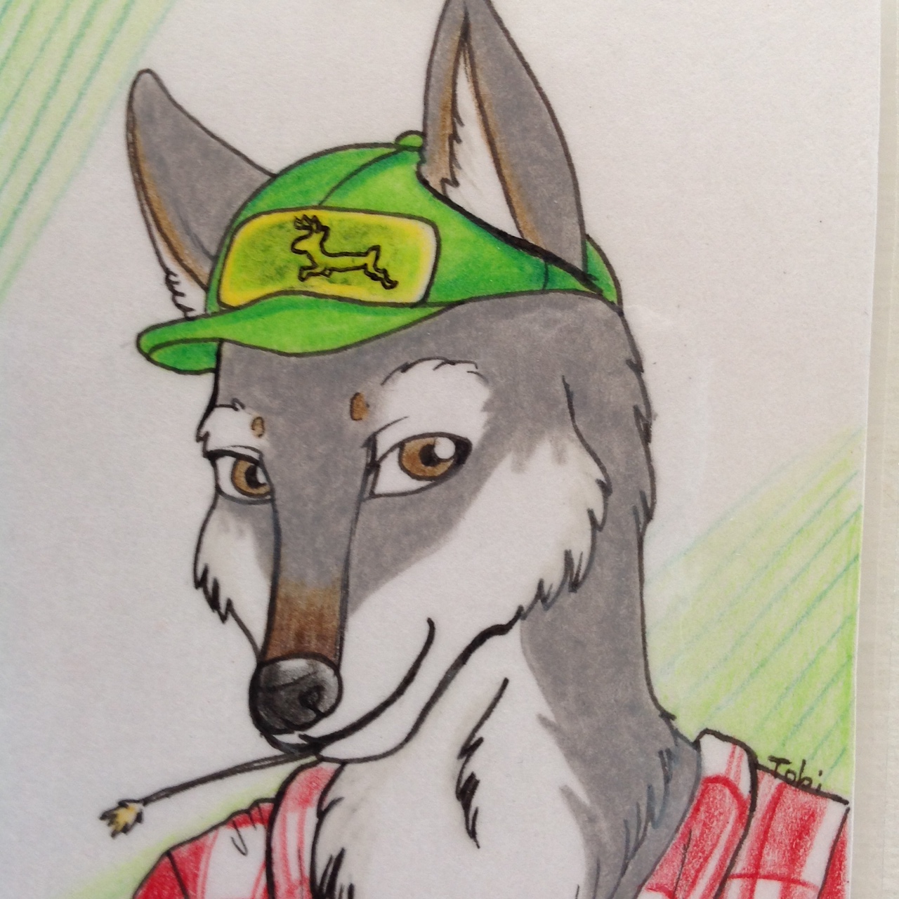 Click to change the View FarmWolf Avatar