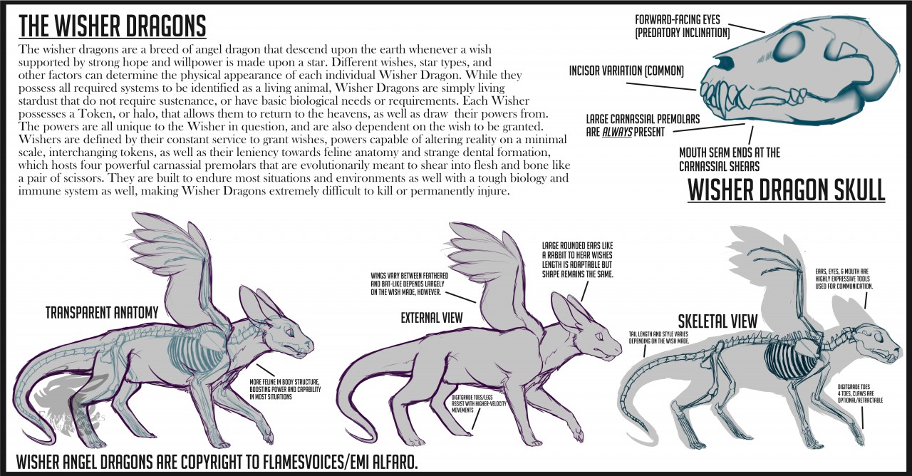 Click to change the View Wisher Angel Dragon Anatomy Sheet