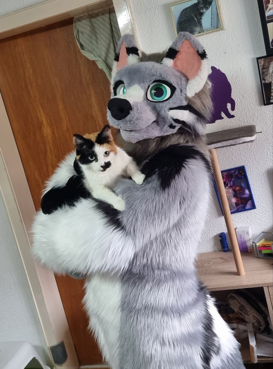 Click to change the View Me and one of my Kittys