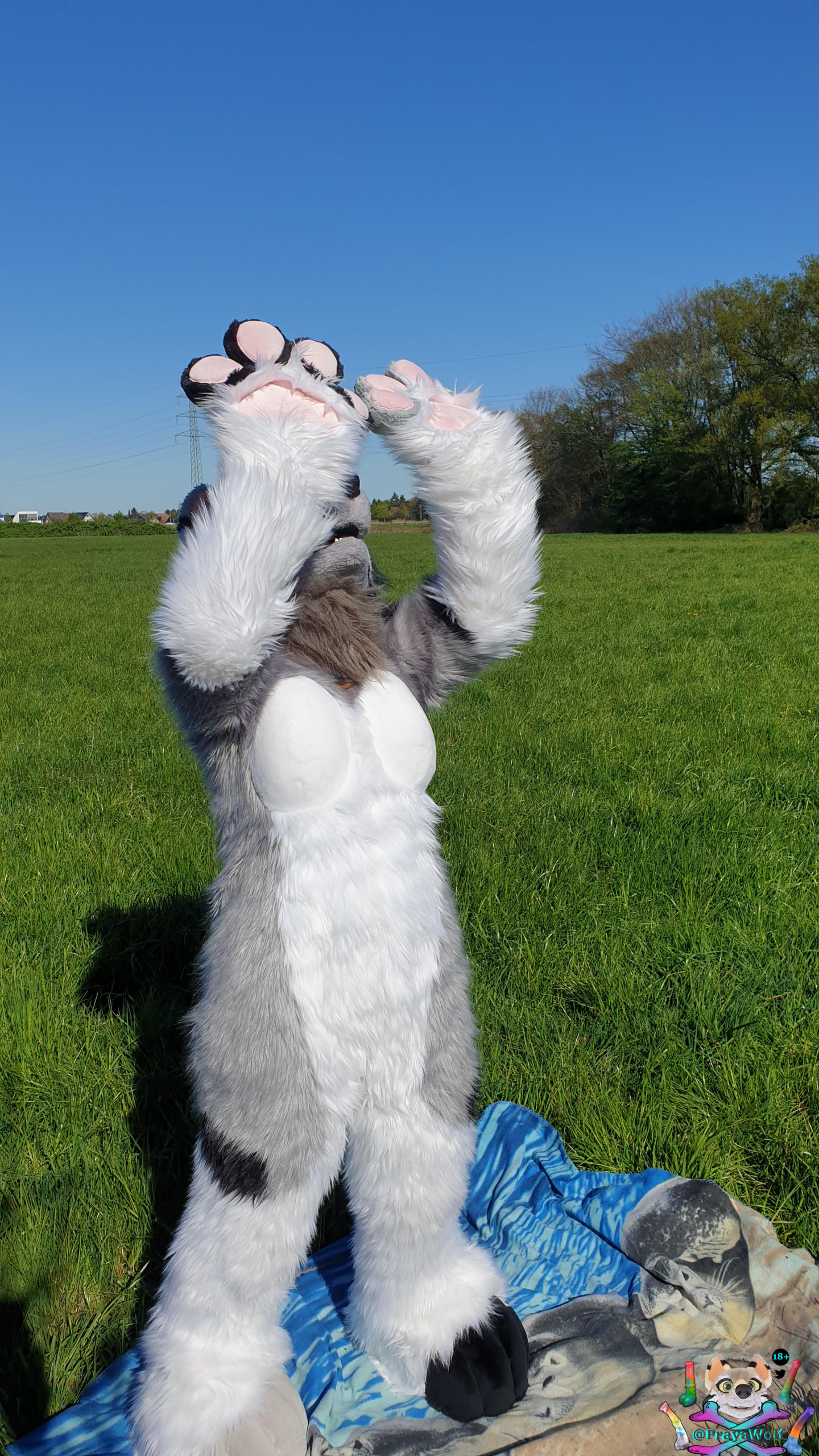 Click to change the View OH no The sunn burns my eyes
