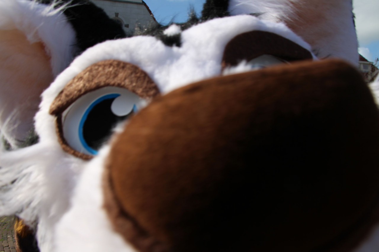 Click to change the View *Nuzzles against you* You smell good