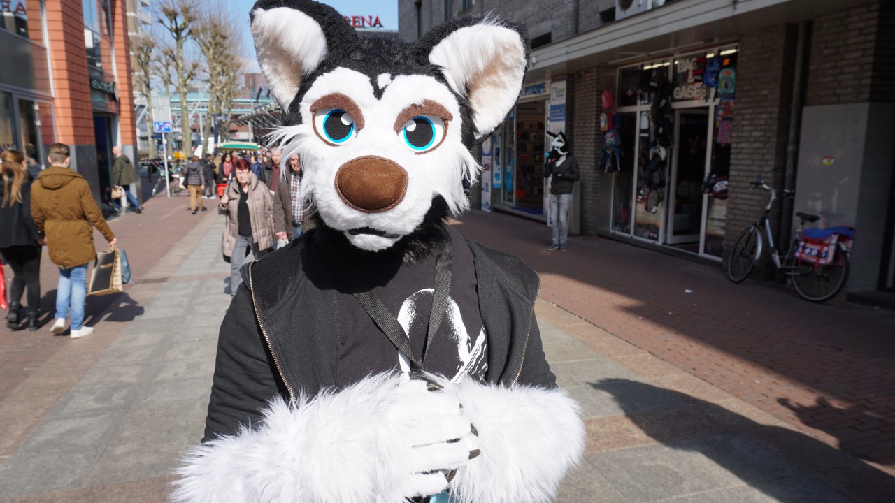 Click to change the View Well, here it is. Happy Fursuit Friday! :D